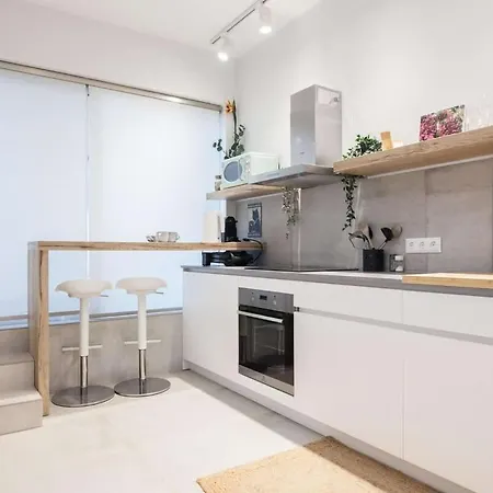 Unique Design Elegant 2 Bd In Historic Mets W Athens